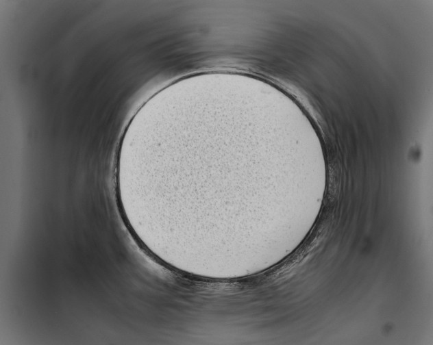 X0000099931387200806201046