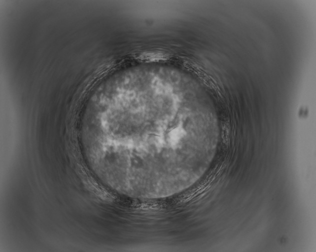 X0000099931393200806201046