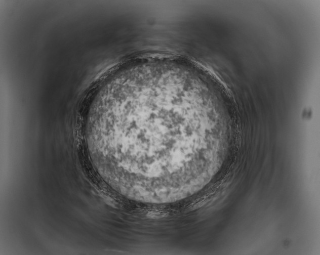 X0000099931399200806201046