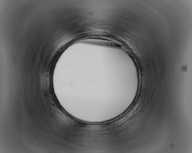 X0000099931402200806201046