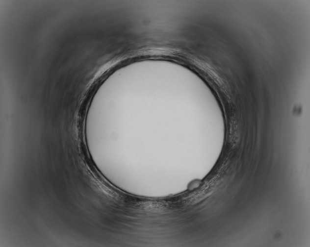 X0000099931404200806201046