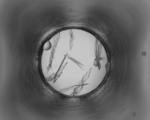 X0000099931406200806201046