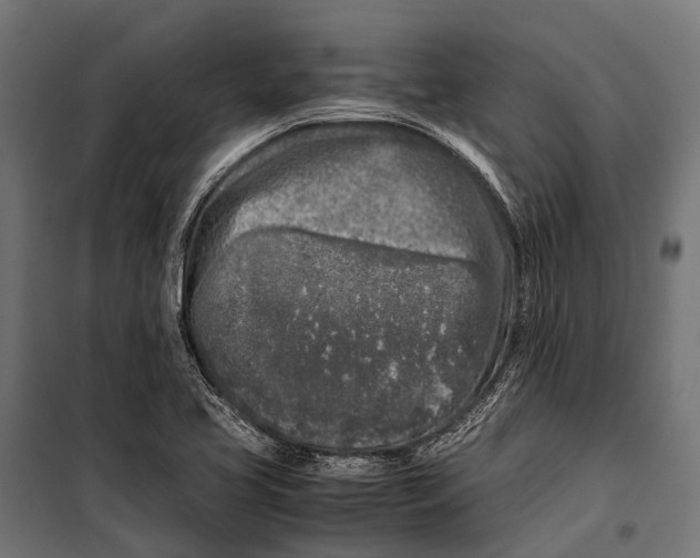 X0000099931413200806201046