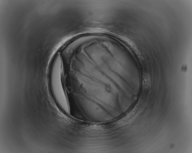 X0000099931414200806201046