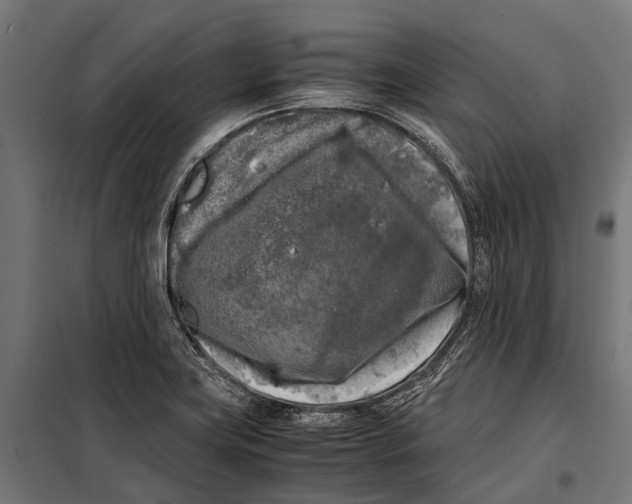 X0000099931419200806201046