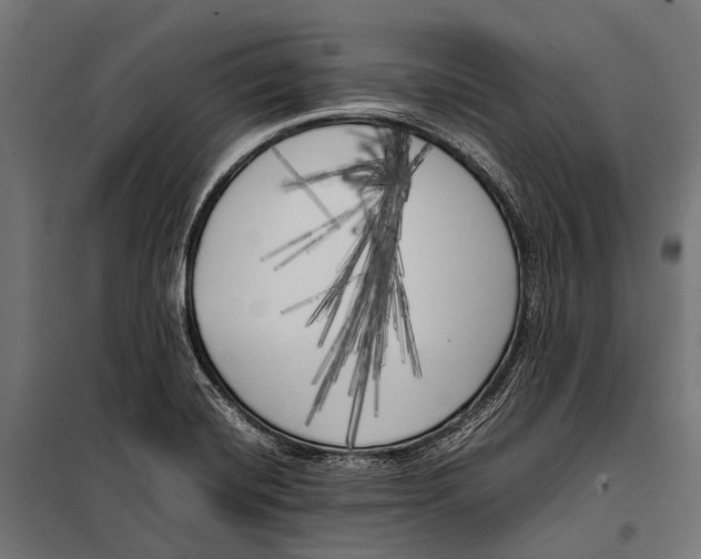 X0000099931420200806201046