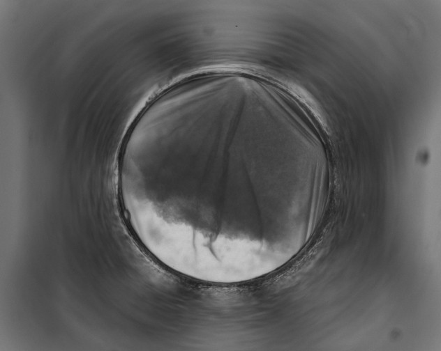 X0000099931428200806201046