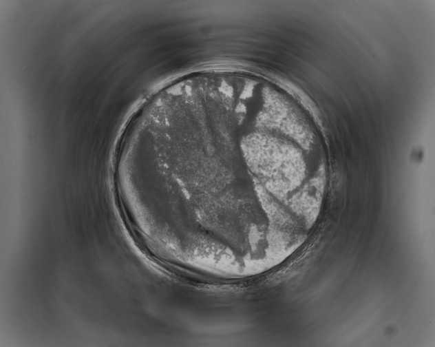 X0000099931429200806201046