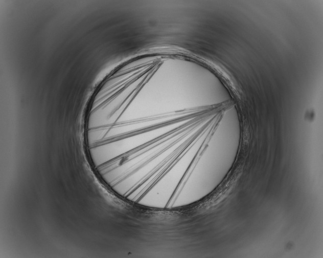 X0000099931430200806201046