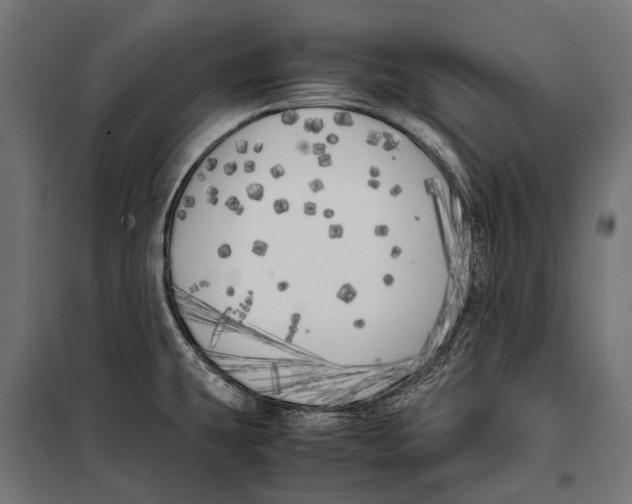 X0000099931431200806201046