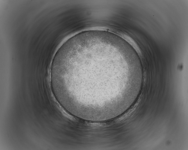 X0000099931436200806201046