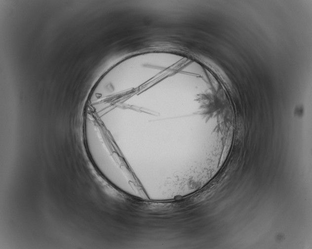 X0000099931439200806201046