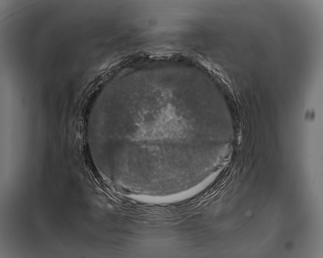 X0000099931445200806201046