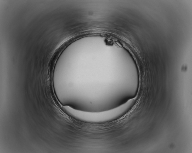 X0000099931450200806201045