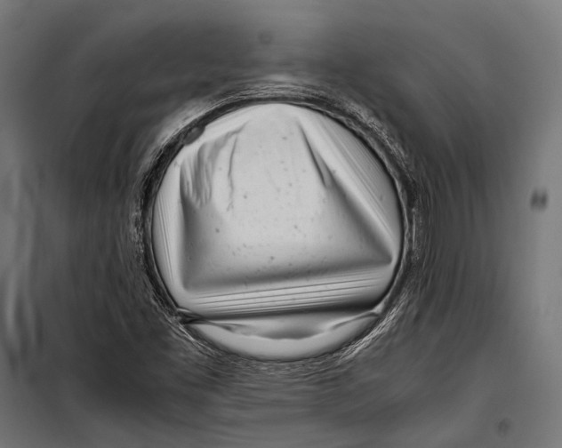 X0000099931453200806201045