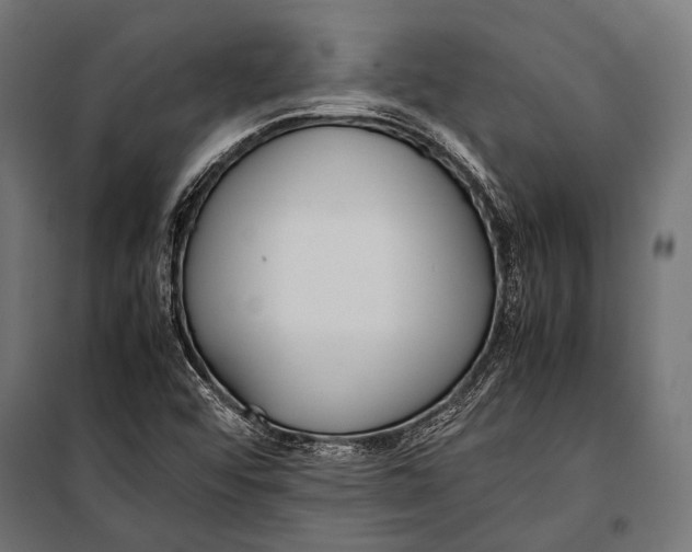 X0000099931456200806201045