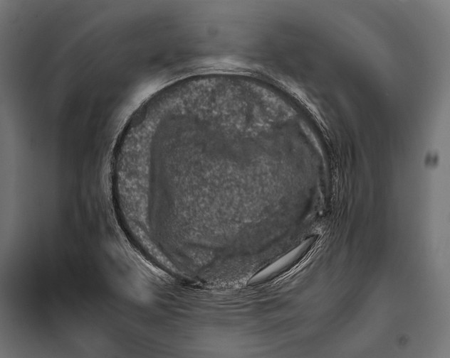 X0000099931463200806201045