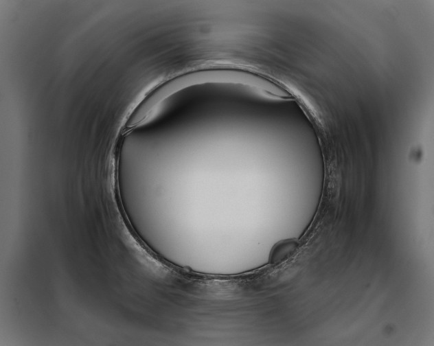 X0000099931476200806201045