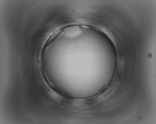 X0000099931477200806201045