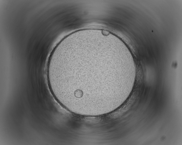 X0000099931478200806201045