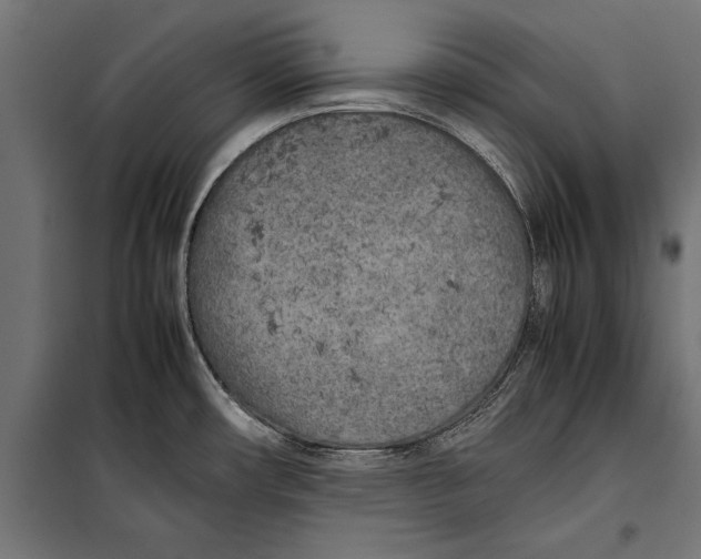 X0000099931482200806201045