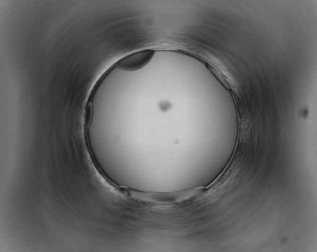 X0000099931484200806201045