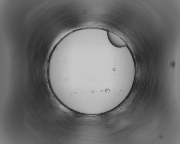 X0000099931486200806201045