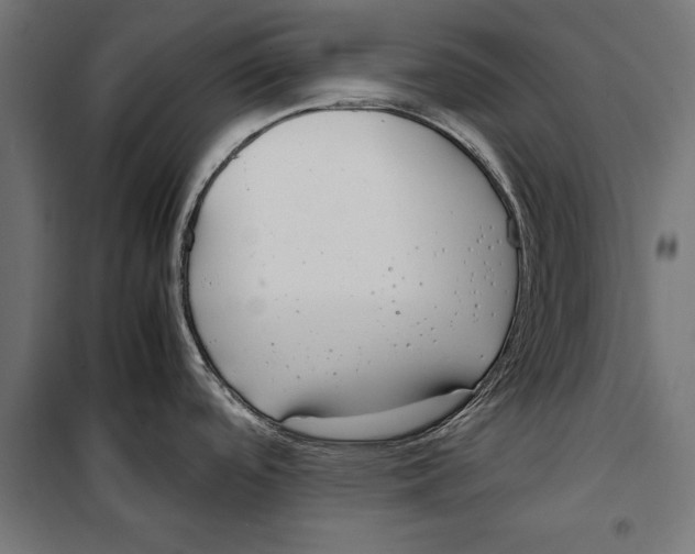 X0000099931488200806201045