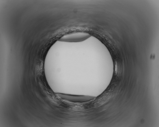 X0000099931492200806201044