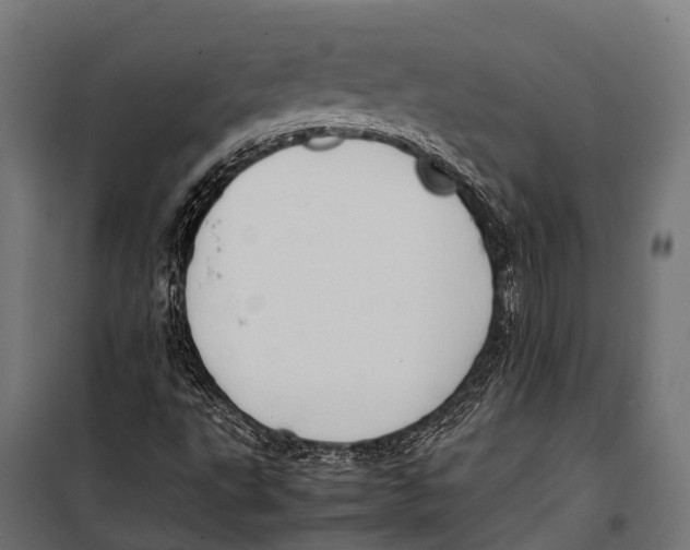 X0000099931495200806201044