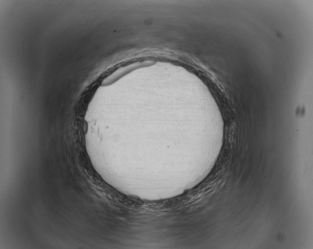 X0000099931496200806201044