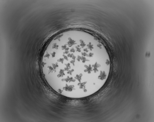 X0000099931497200806201044