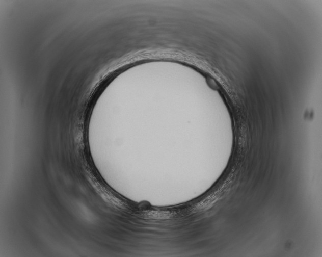 X0000099931499200806201044