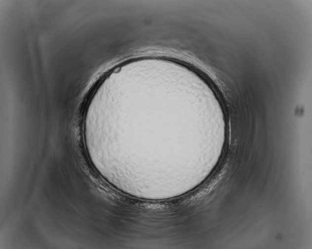 X0000099931501200806201044