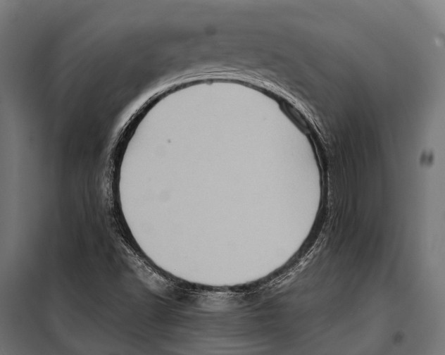 X0000099931502200806201044