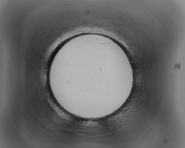 X0000099931503200806201044