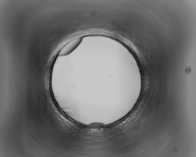 X0000099931504200806201044