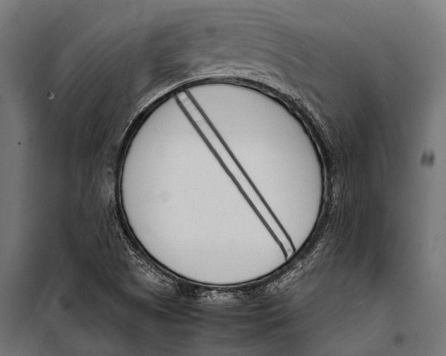 X0000099931505200806201044