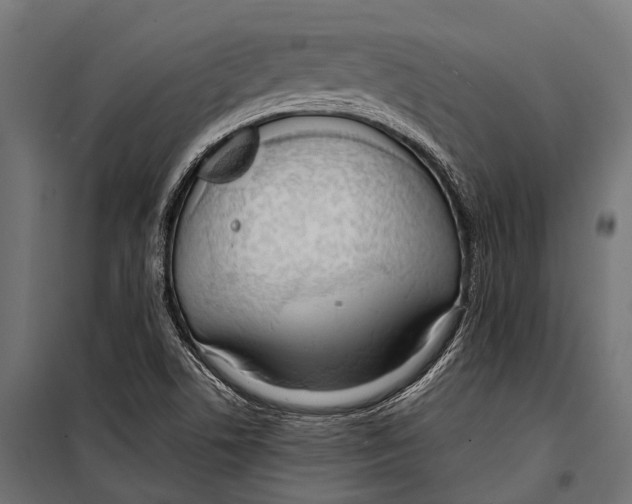 X0000099931506200806201044