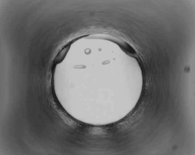 X0000099931507200806201044