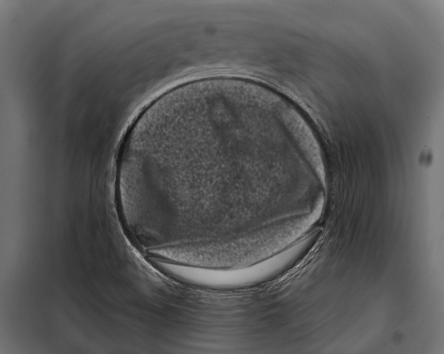 X0000099931508200806201044