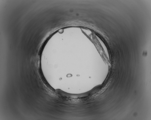 X0000099931509200806201044