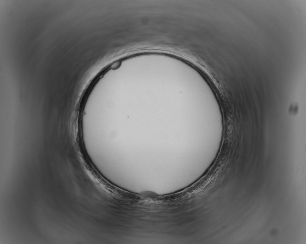 X0000099931511200806201044