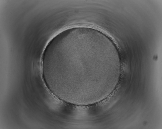 X0000099931514200806201044