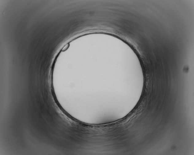 X0000099931516200806201044