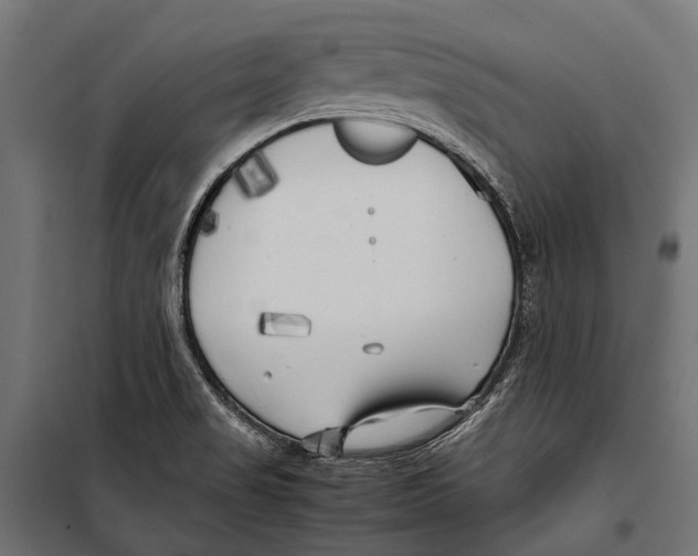 X0000099931517200806201044