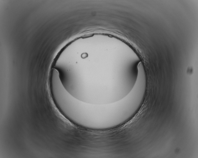 X0000099931518200806201044