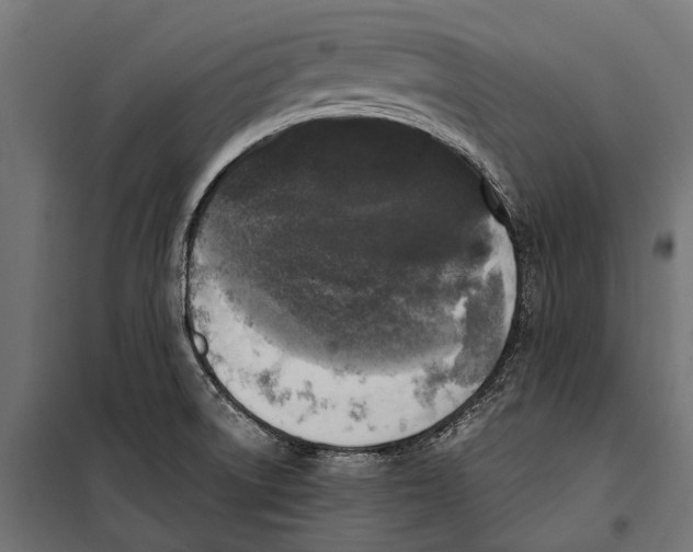 X0000099931522200806201045