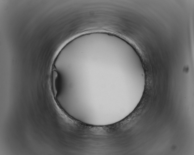 X0000099931524200806201045