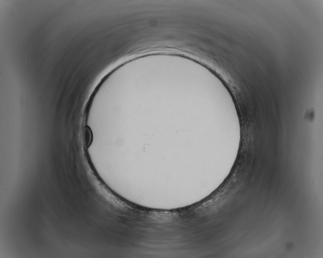 X0000099931526200806201045